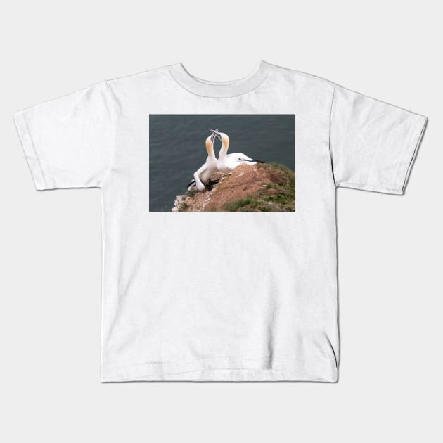 Pair of gannets Kids T-Shirt by HazelWright